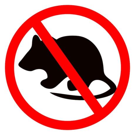 No More Rats!